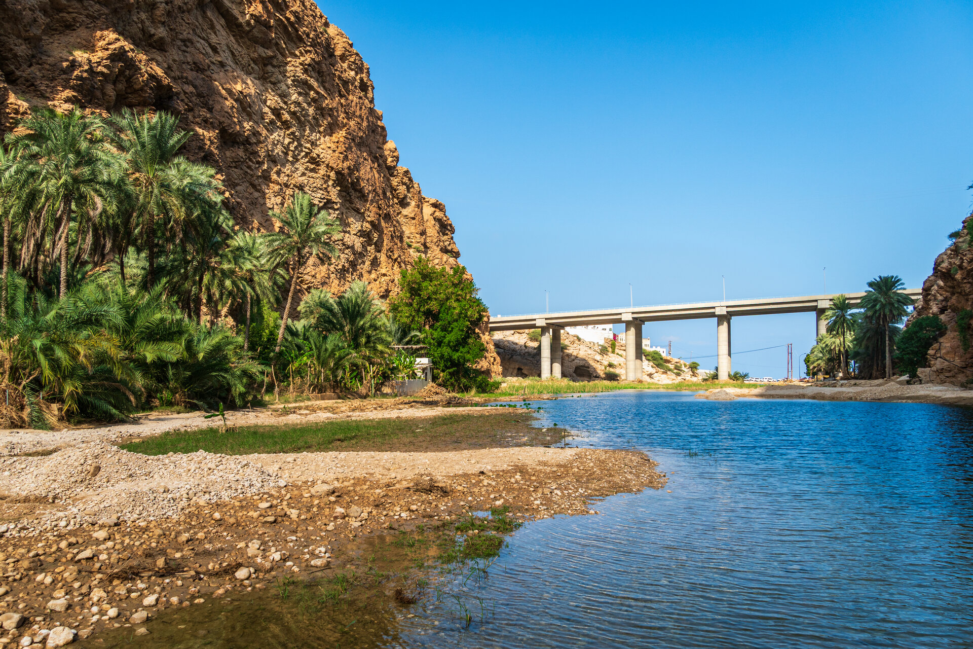Turquoise pools and palm trees in Wadi Shab canyon, Oman