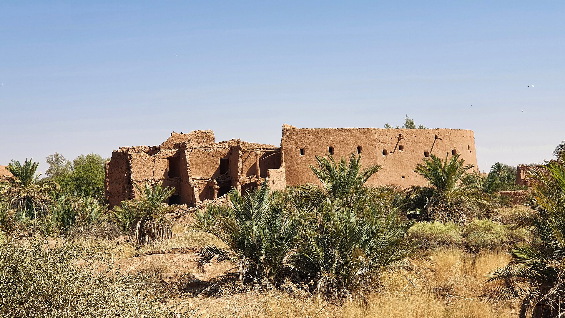 Traditional mud-brick buildings at Ushaiger Heritage Village surrounded by palm trees in the Najd desert