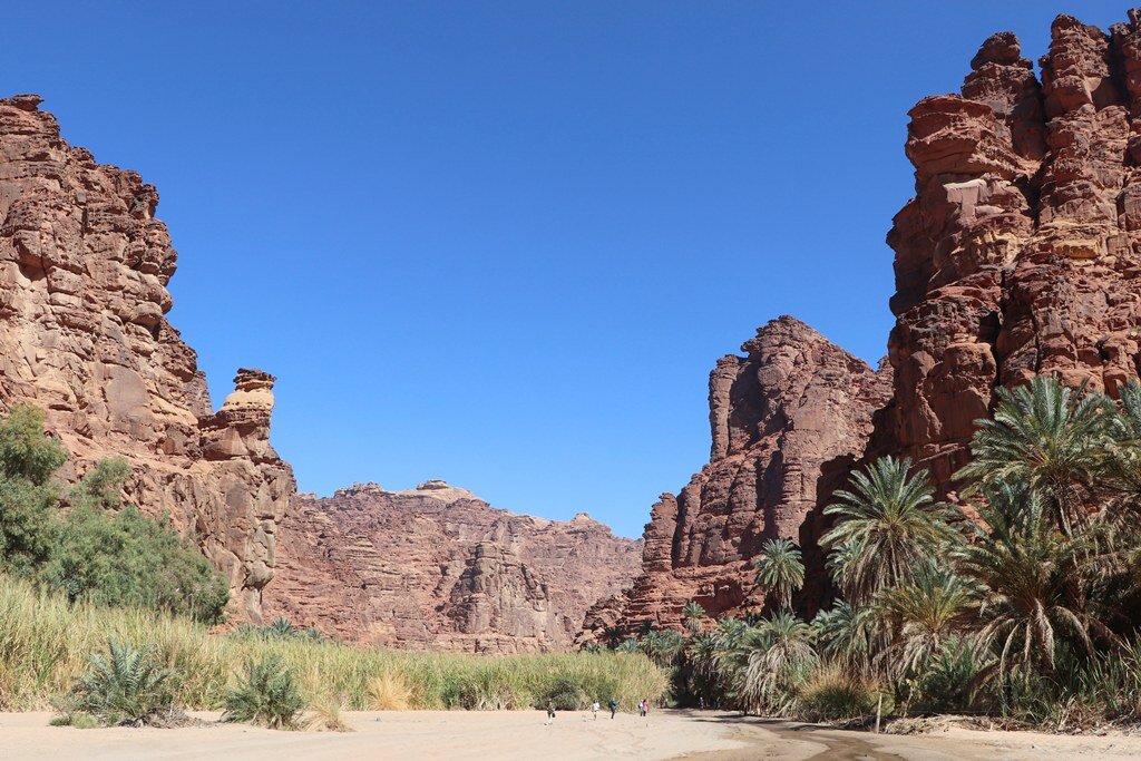 Towering red sandstone cliffs of Wadi Disah canyon with palm trees on the valley floor in Tabuk Province Saudi Arabia