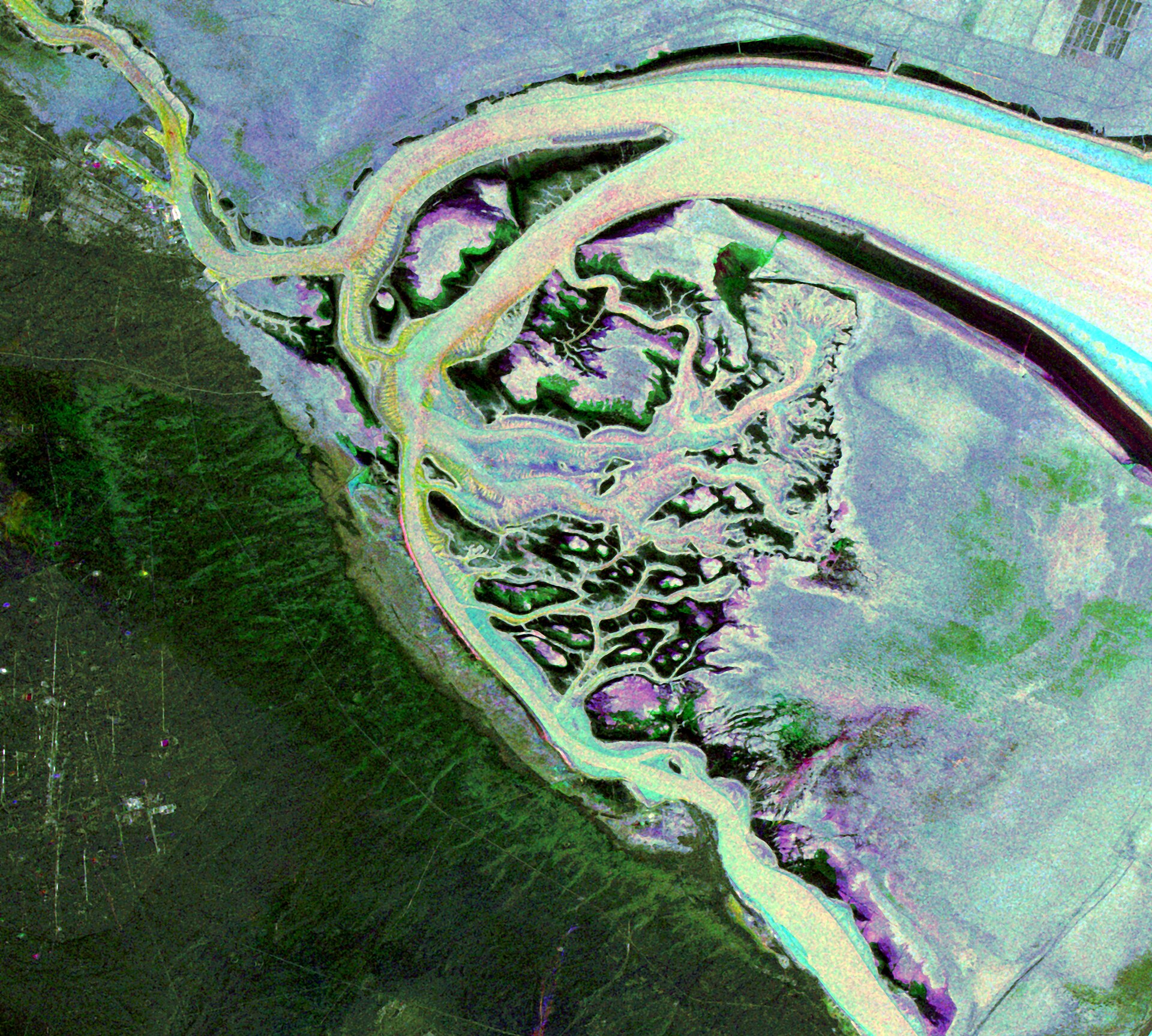 Envisat satellite false-colour image of Warbah and Bubiyan islands at the head of the Persian Gulf, Kuwait, showing the tidal channels and the Khor Abdullah waterway approach to Umm Qasr