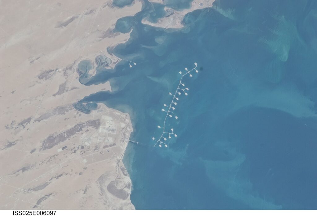Trump-Xi Beijing Summit: Saudi Arabia Frozen Out of the Hormuz Endgame
