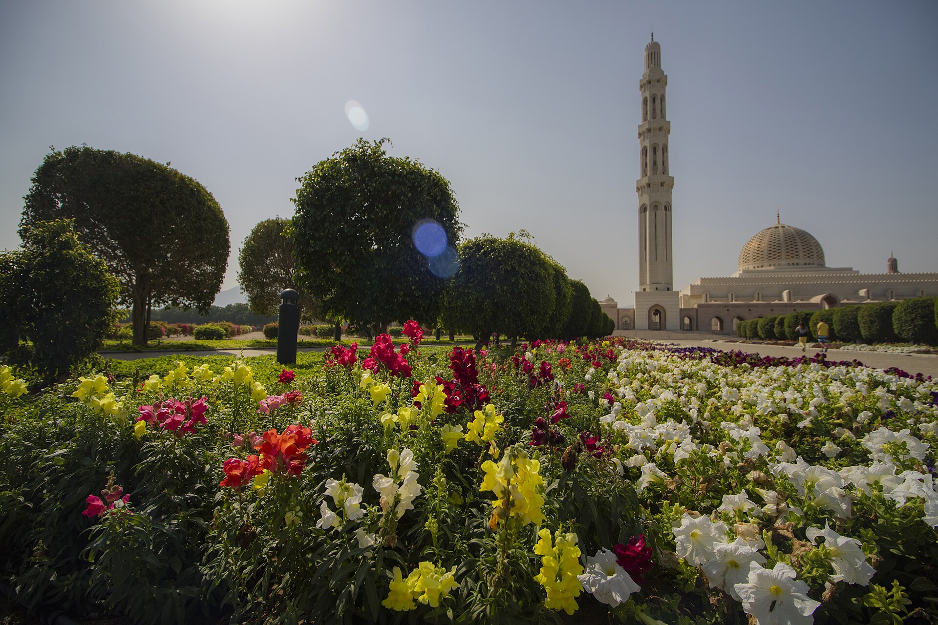 Sultan Qaboos Grand Mosque minaret and dome in Muscat Oman with flowering gardens