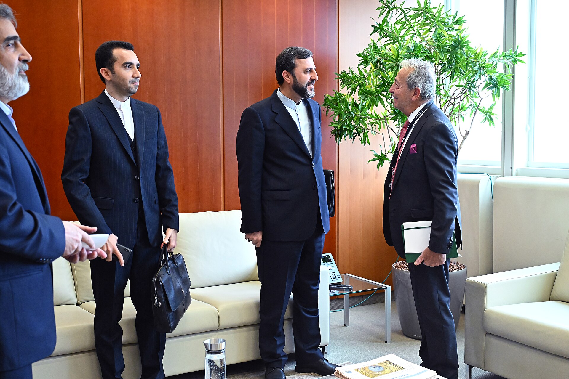 Kazem Gharibabadi, Iranian Deputy Foreign Minister, meeting with IAEA Director General Rafael Grossi in Vienna, October 2024
