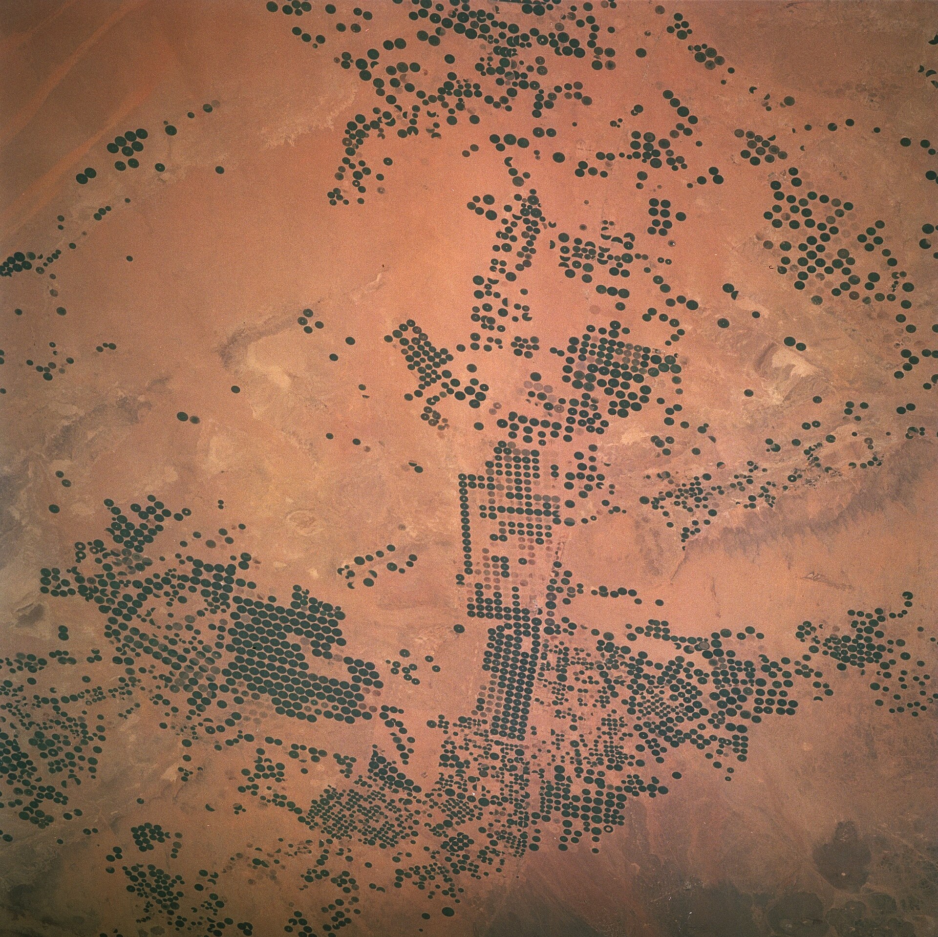 NASA satellite image of centre-pivot irrigation circles in Saudi Arabia — the Kingdom draws thirty per cent of water from non-renewable aquifers like these, but the bulk of municipal supply depends on coastal desalination, not groundwater