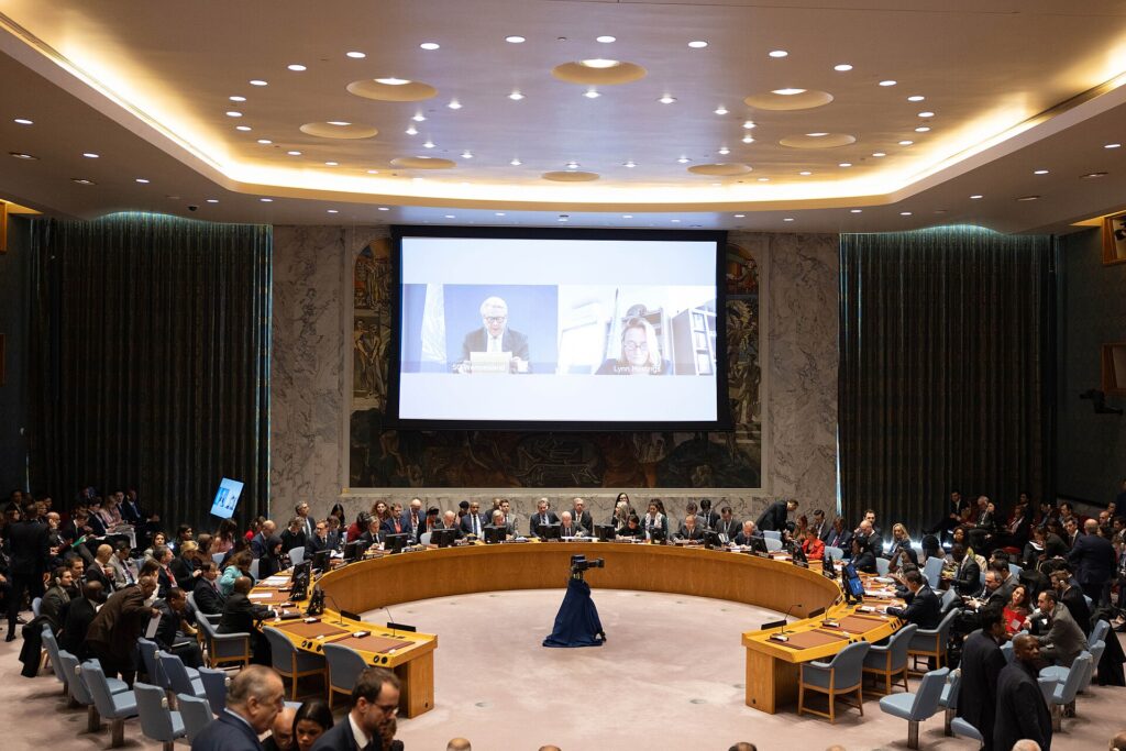 Who Does Pakistan Speak For at the Security Council?