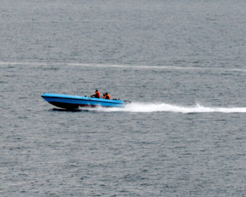 IRGCN fast attack speedboat racing through the Strait of Hormuz, January 2008. The Islamic Revolutionary Guard Corps Navy uses such craft to challenge US warships.