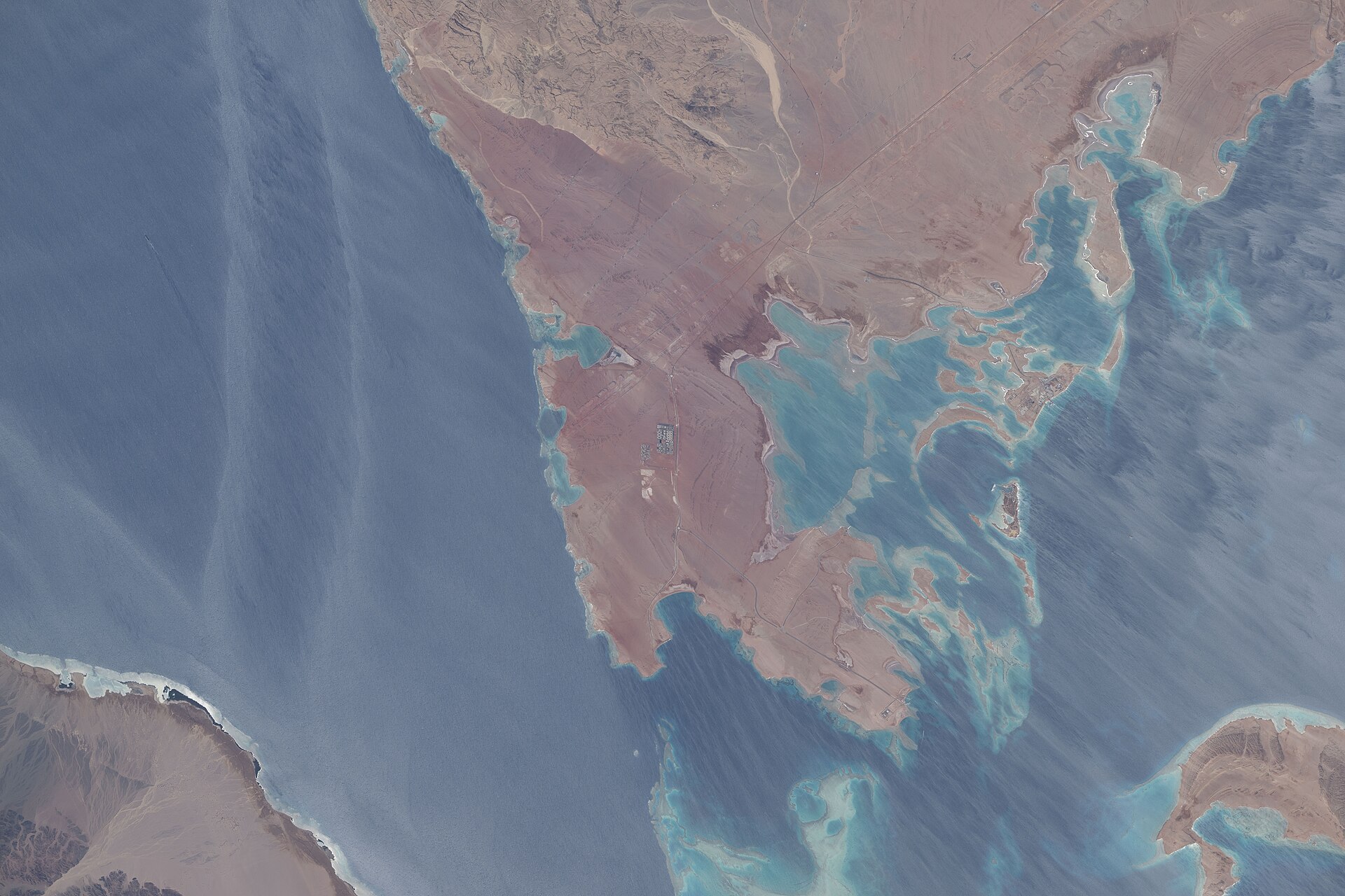 ISS Expedition 74 satellite view of the NEOM development peninsula on the Gulf of Aqaba, Saudi Arabia, July 2026. The construction grid of The Line is visible at centre.